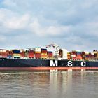 MSC ROSA M