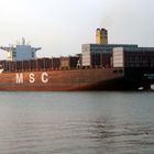 MSC SHUBA B