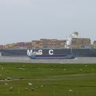 MSC SOLA