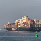 MSC SORAYA