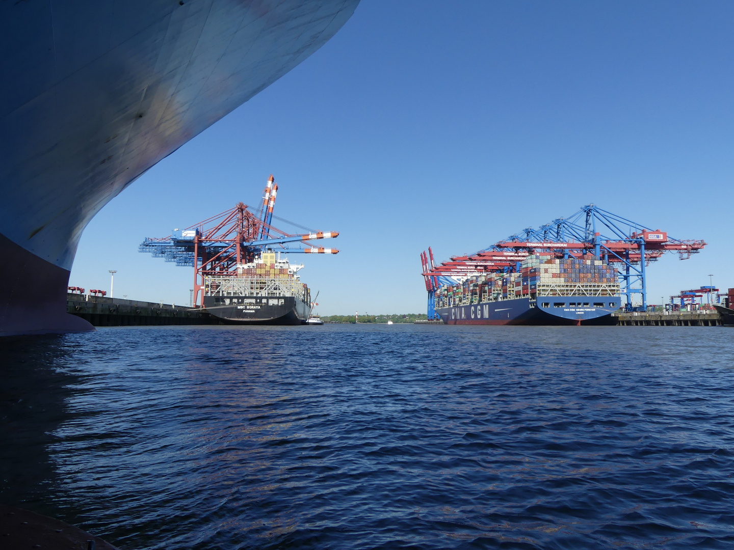 MSC SORAYA + CMA CGM GEORG FORSTER