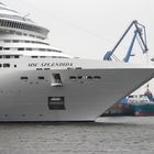 MSC SPLENDIDA (2)