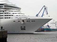 MSC SPLENDIDA (2)