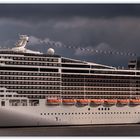 MSC Splendida