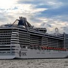 MSC SPLENDIDA