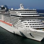 MSC Splendida