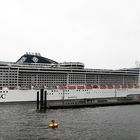 MSC SPLENDIDA (3)