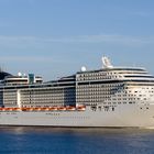 MSC SPLENDIDA