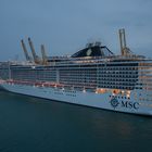 MSC Splendida