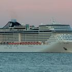 MSC Splendida