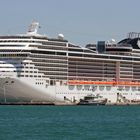 MSC Splendida