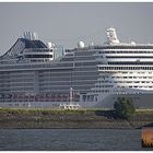 MSC Splendida am Cruise Terminal