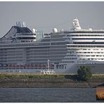 MSC Splendida am Cruise Terminal