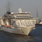 MSC Splendida (beigedreht)