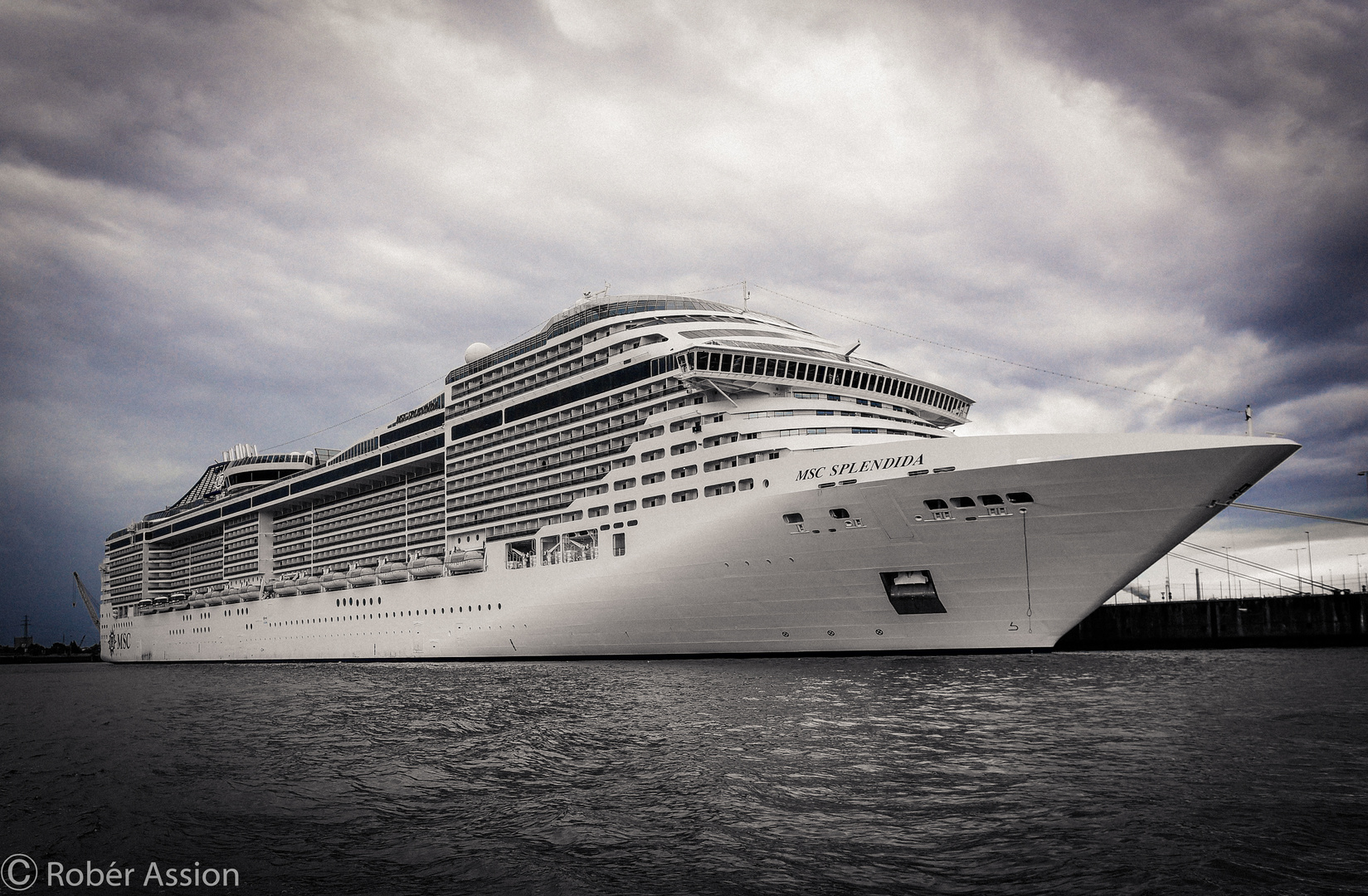 MSC Splendida