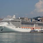 MSC Splendida