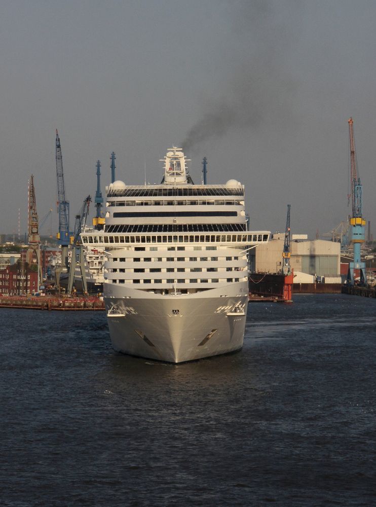 MSC Splendida (frontal)