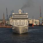 MSC Splendida (frontal)