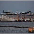 MSC Splendida läuft aus