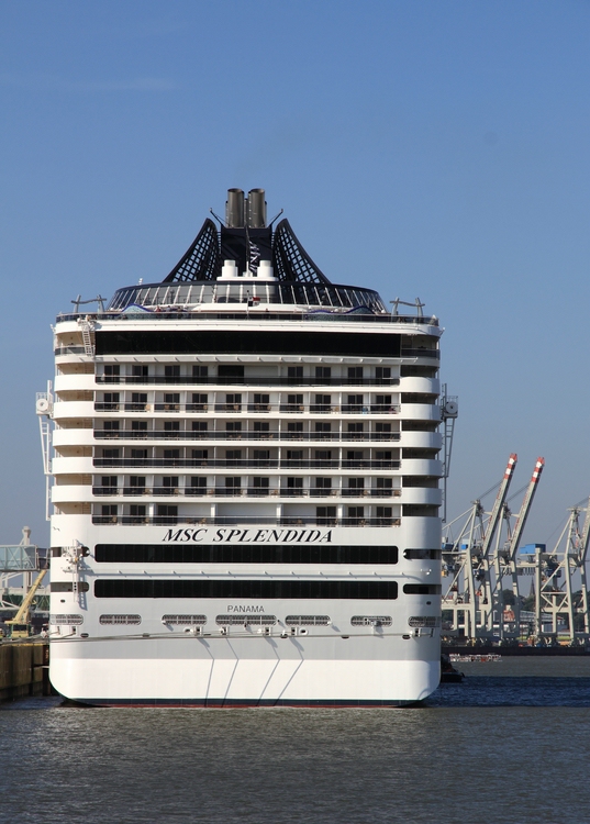 MSC Splendidia