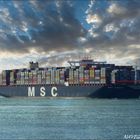 MSC SVEVA, Rotterdam