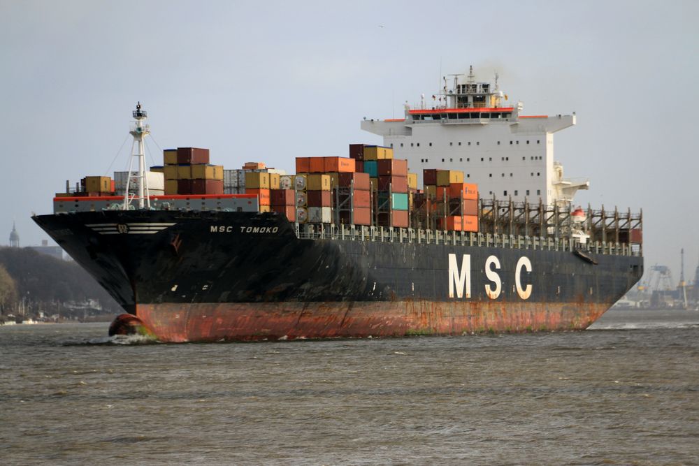 MSC Tomoko