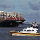 MSC VENICE, Container Carrier, Rotterdam.