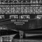 MSC VIVIANA was für ein Heck