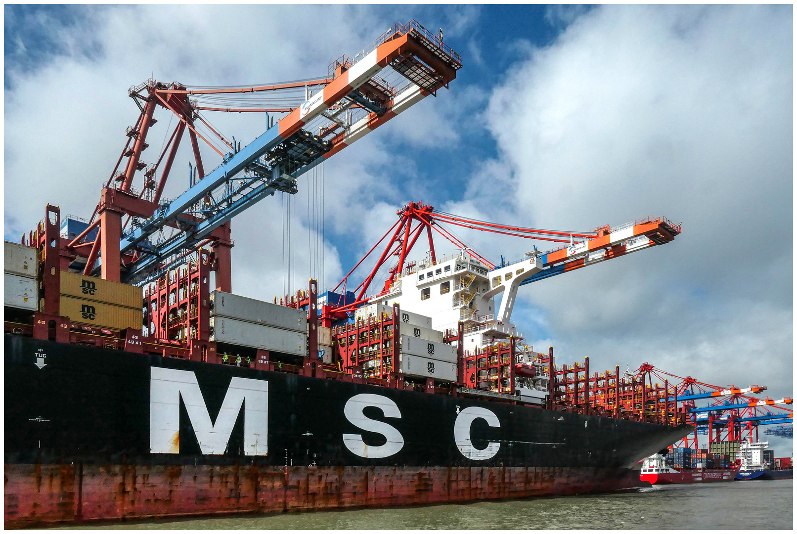 MSC Waltershof