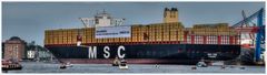 MSC Zoe (3)