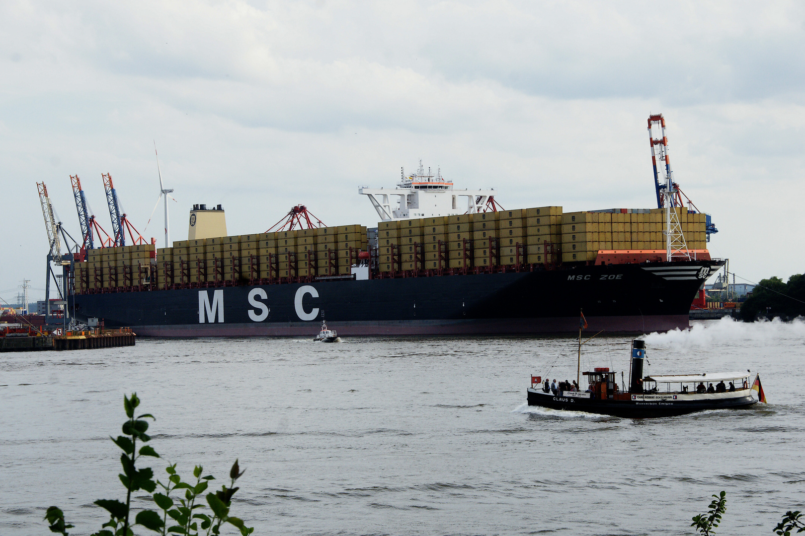 MSC ZOE