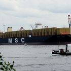 MSC ZOE