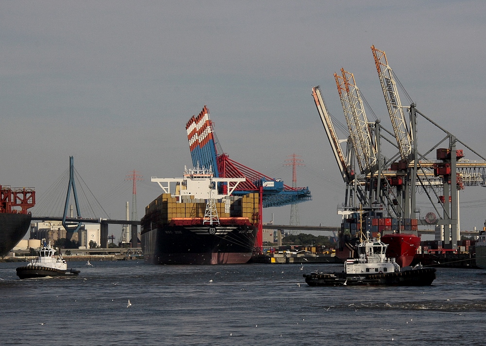 MSC Zoe am EuroGate