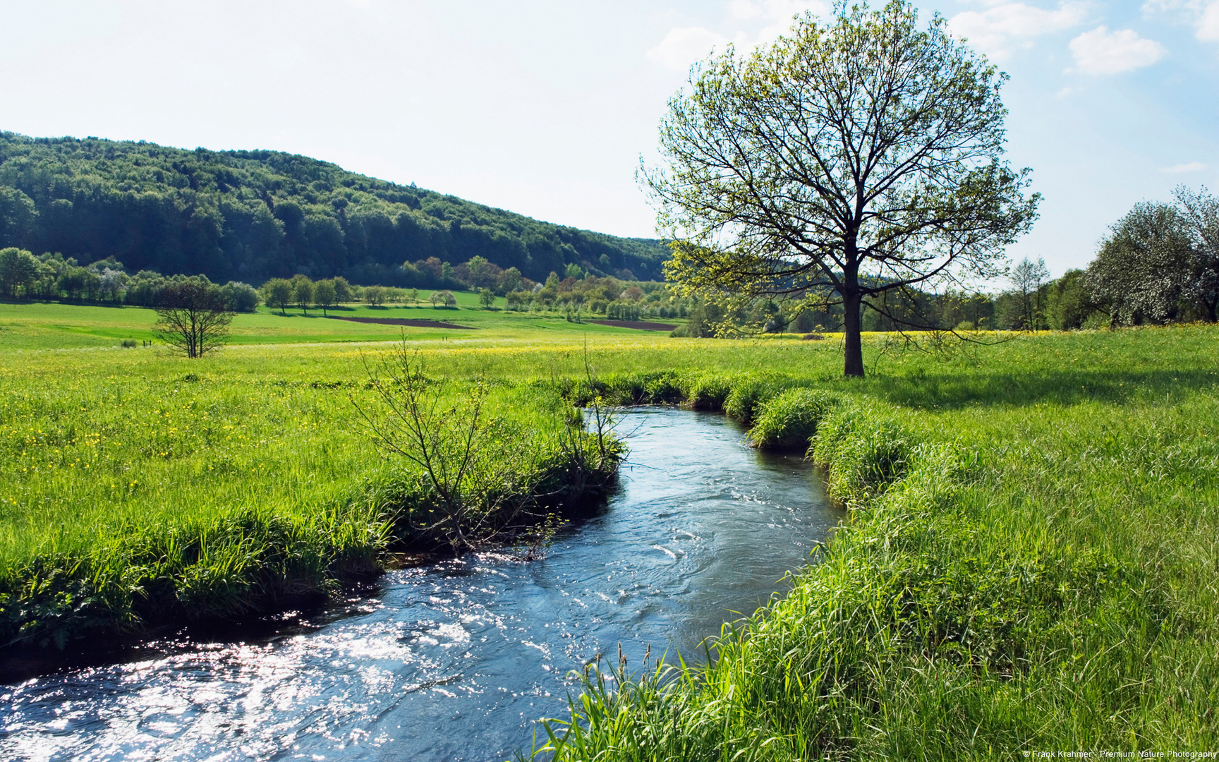 Ms_Flußlandschaft-Bayern