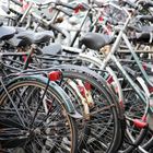 ÁMSTERDAM, LA CIUDAD DE LAS BICICLETAS...  FERNANDO LÓPEZ   fOTOGRAFÍAS...