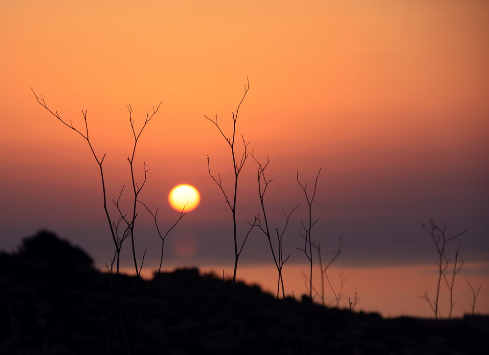 MT 4+ Sunset Malta