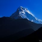 Mt. Annapurna