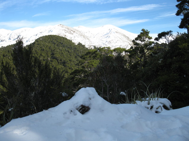 Mt. Arthur NZ