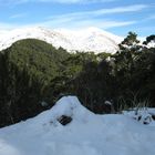 Mt. Arthur NZ