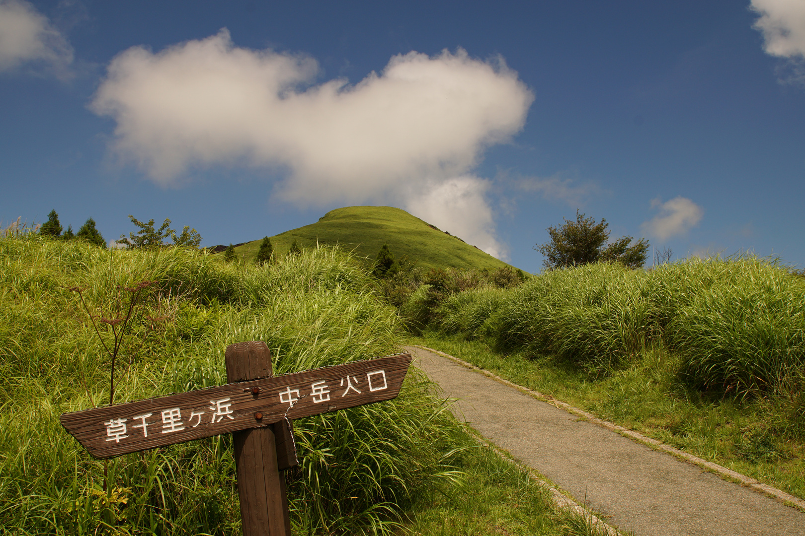 Mt. Aso