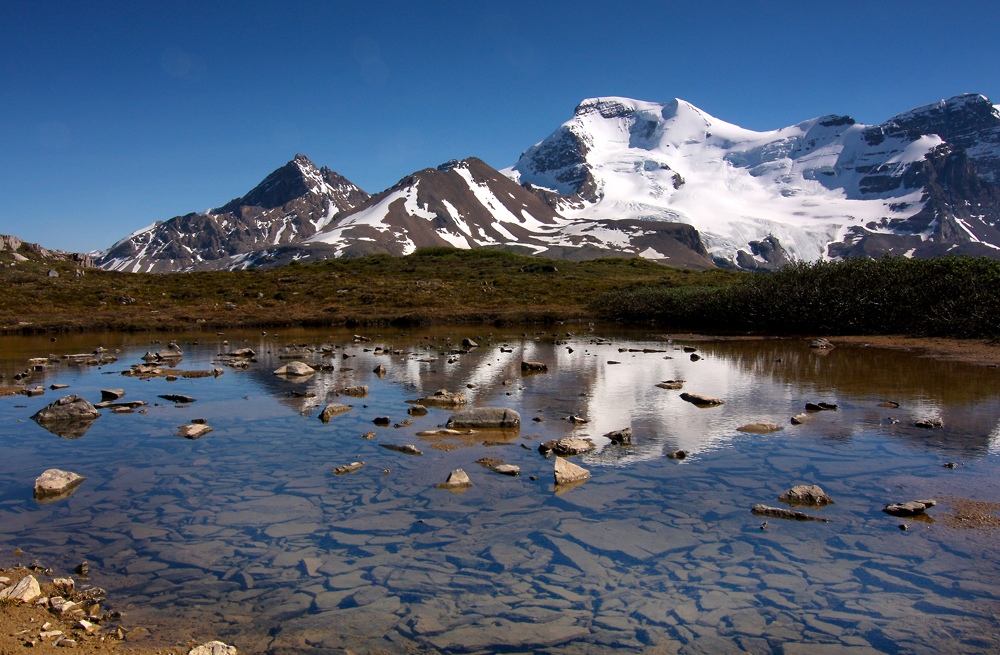 Mt Athabasca