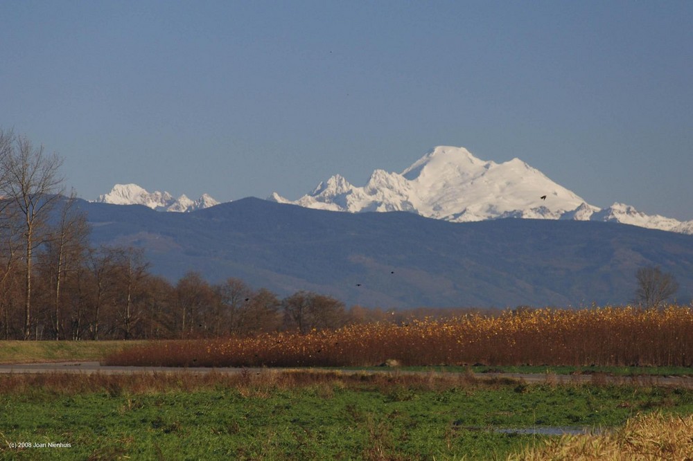 Mt. Baker