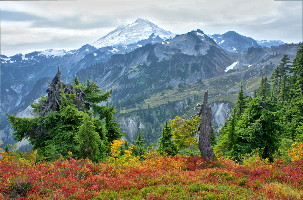 Mt. Baker im Herbst