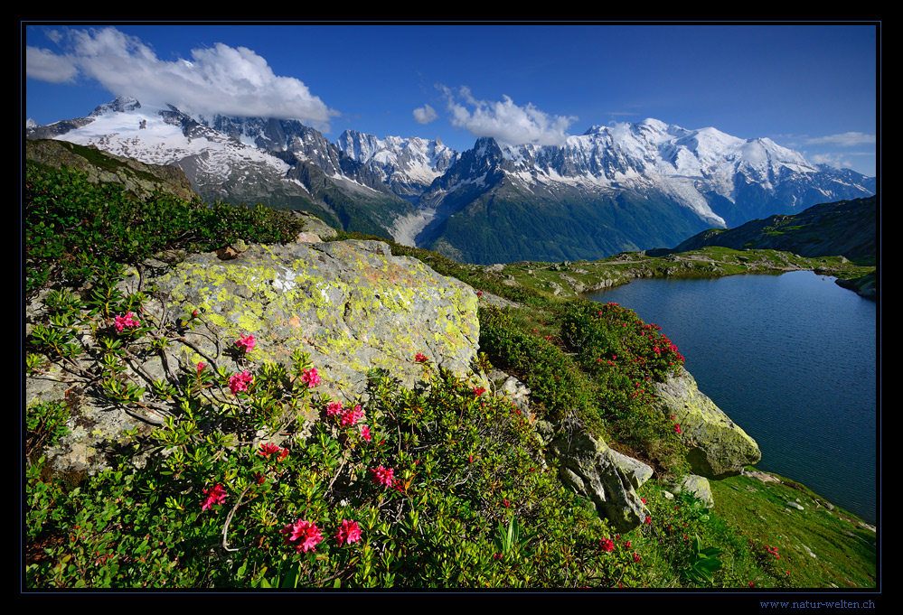 Mt. Blanc