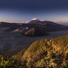 Mt. Bromo