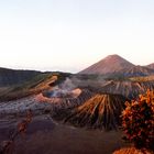 Mt. Bromo auf Java