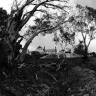 Mt. Buffalo Chalet