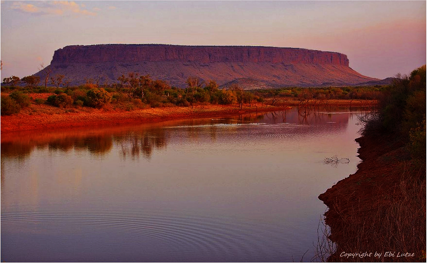 * Mt Connor ( Artilla ) at dusk *