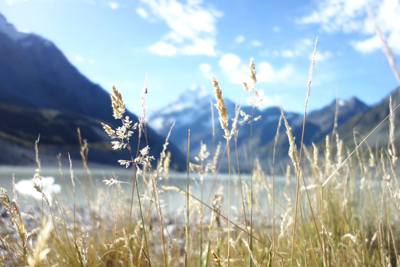 Mt Cook