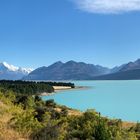 Mt. Cook